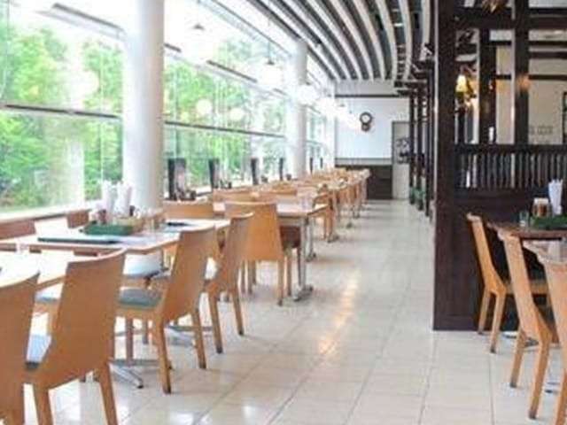 太陽光の差し込む明るい店内